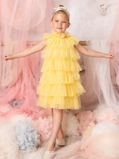 Alchemy Tulle Dress