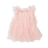 Bébé Starlore Tulle Dress