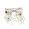 Crystal Dream Hair Clip