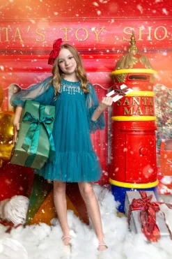 First Frost Tulle Dress
