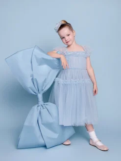 Higher Love Tulle Dress