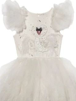 Swan Lake Dress