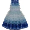 Swim Club Tutu Dress
